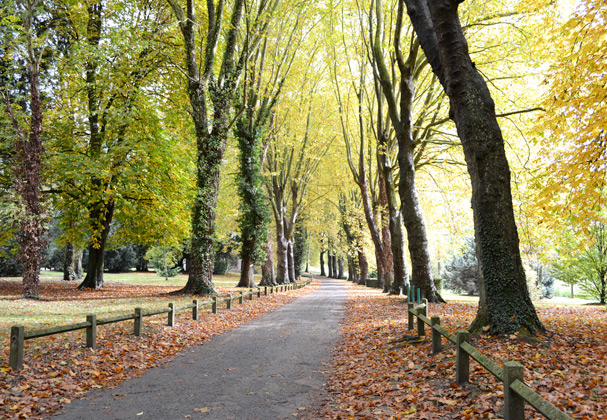 allées du parc du château